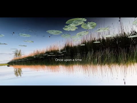 The Story of the Straight Line - Nynke Laverman (Official Lyric Video)