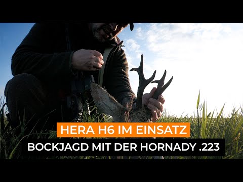 hera-arms: Bockjagd mit der neuen Hera H6 in Kaliber .223 und was man dabei unbedingt beachten sollte