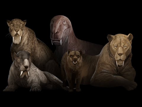 All 5 Types Of Sabertooths Explained
