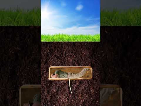 What to do if you wake up and are buried alive ￼