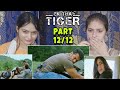 Ek Tha Tiger:  Climax Fighting  | Salman Khan   Katrina Kaif | Part 12/12