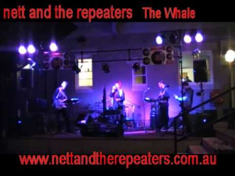The Whale nett and the repeaters mundaring 2013