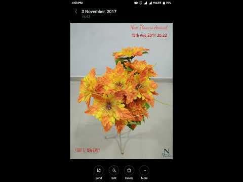 Add Text and Timestamp on Gallery Photos 📷 Video