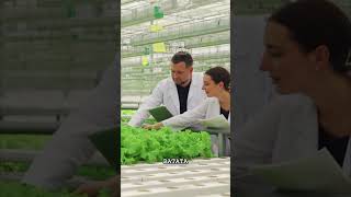 Pulgões: Os Assassinos Silenciosos das Suas Plantas!