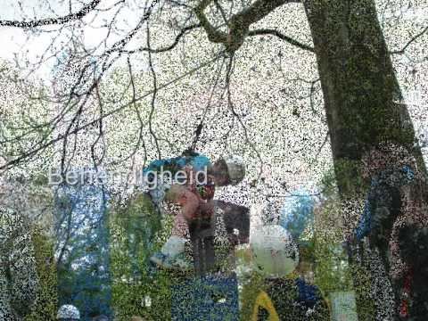 Oost Arnhem korfbal D-Day mei 2010.wmv