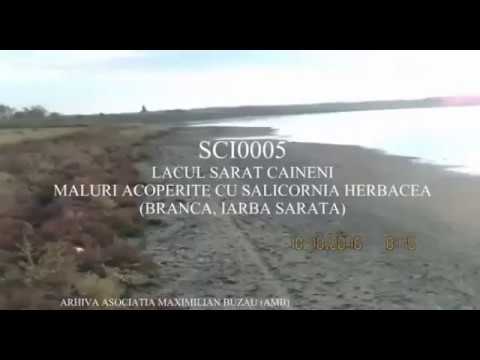 Lacul Sarat Caineni 2016 1
