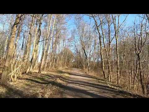 Weg von Hiltroperstr. bis Bergenerstr. ( Bochum-Hiltrop)