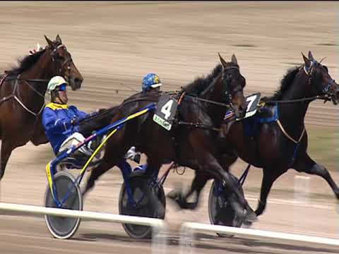 Trotto 01/05/2019 - 1ª corsa