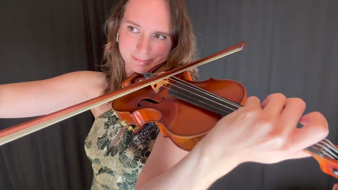 Promotional video thumbnail 1 for Wake Forest Violin