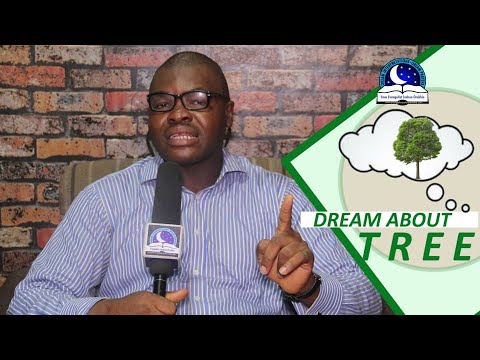 DREAM ABOUT TREE - Biblical Dream Interpretation