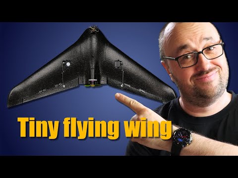 Micro FPV Flying Wing