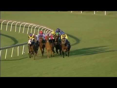 2018.05.05 Gerald Rosenberg Stakes (RSA) - Sabina's Dynasty