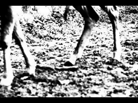 GUIDI AW08 - step by step