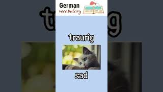 traurig (sad) | German language vocabulary