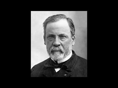 porque para mi la vida humana es mas valiosa que los animales