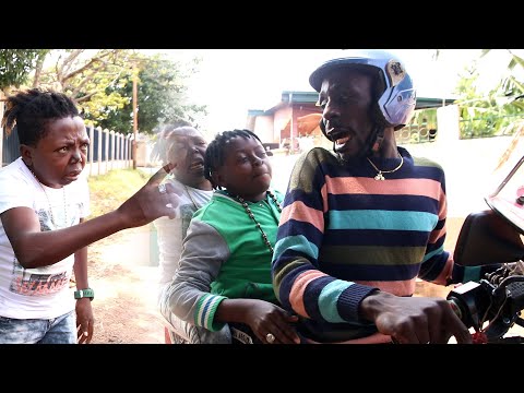 BEAU GOSSE et les pygmées insolents