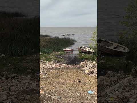 Río de la Plata desde el barrio El Ceibo, La Lucila, Buenos Aires, Argentina