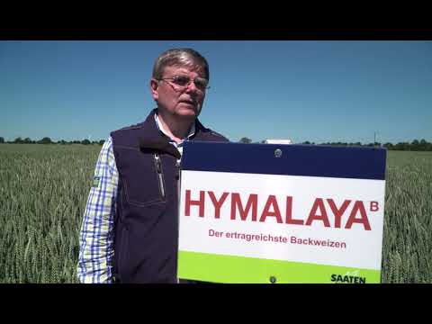 Saaten-Union: Hybridweizen HYMALAYA, Vertriebsberater Andreas Henze, Standort Salzau