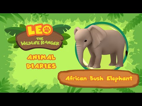 Witness21 Editor  2021 12 04