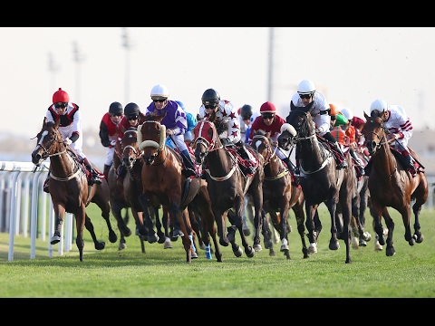 28th Race Meeting of Season 2016 / 2017