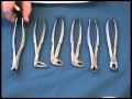 Oral Surgery Instruments Explained