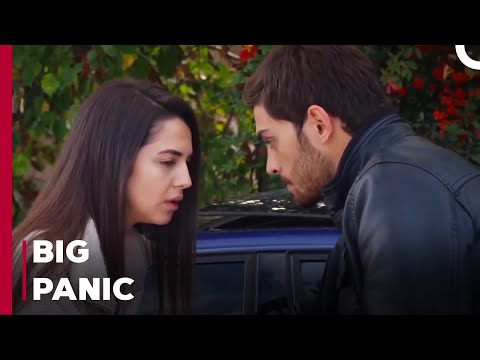 Police Raid - Can't Stop Loving You