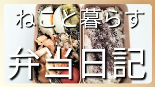 ねこと暮らす前日作り置き弁当日記です