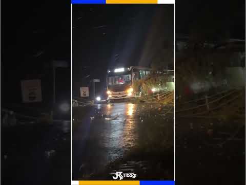 Mulher fica presa dentro de carro após árvore cair durante temporal em Telêmaco Borba