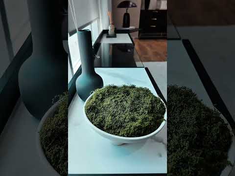 Modern Home Accessories & Styling Inspiration