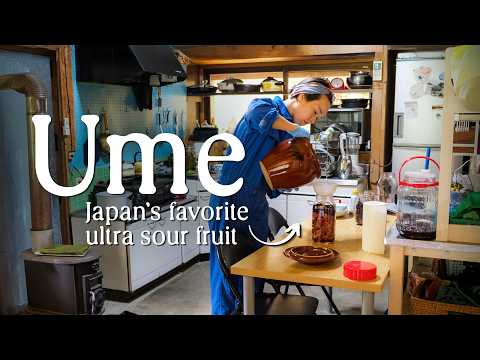 I made umeboshi using our own ume plums (plus other sour recipes from the Japanese countryside)