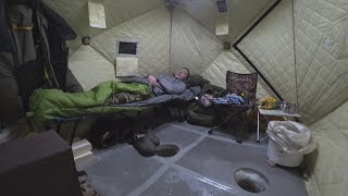 Ссылка