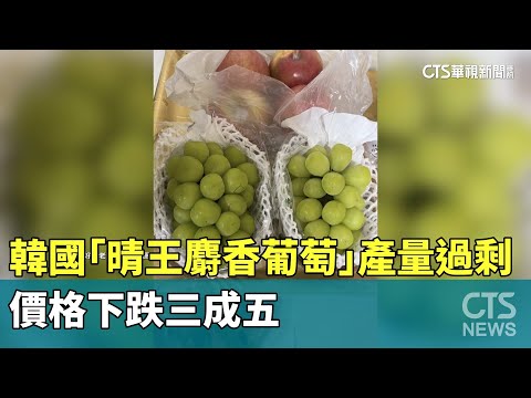韓國「晴王麝香葡萄」產量過剩　價格下跌三成五