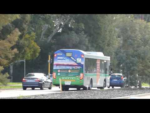 Transperth Volvo B7RLE (Volgren Optimus) TP2493 @ Sevenoaks Street,Cannington