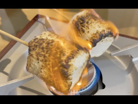 マシュマロ、アオイ科の植物、Althaea officinalis