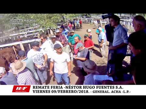 NÉSTOR HUGO FUENTES S.A. - VI-09-FEB-2018 - GRAL. ACHA - CAT.: TERNEROS -