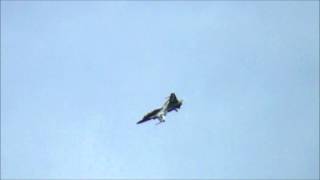 preview picture of video 'Black Eagles Solo Display Practise 27/06/12'