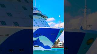 Majestic Princess 🛳️ #travel #yt #subscribe #comment #youtubeshorts #shortvideo #short #shorts #fun