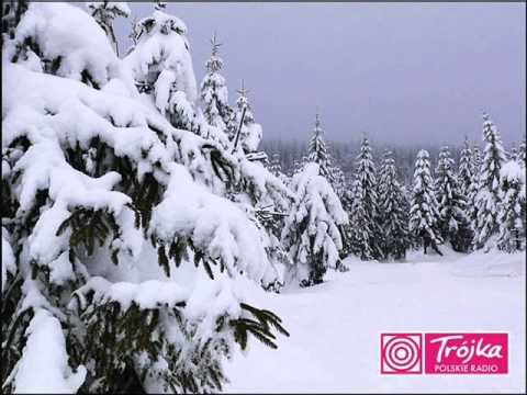 Przyjaciele Karpia- Karp 2011