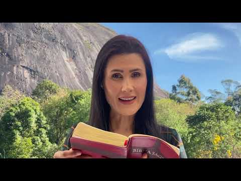 1534 Sobre a Rocha | Lei dos Animais | Melissa Barcelos