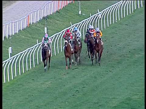 Galoppo 03/12/2019 - 3ª corsa