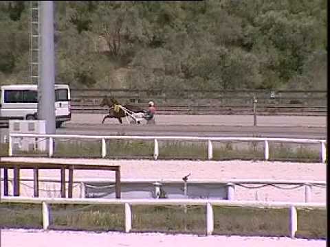 IPPODROMO DEI PINI - Prove di riqualifica 12 maggio