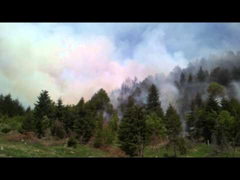 Incendiu de pădure în comuna Agăș