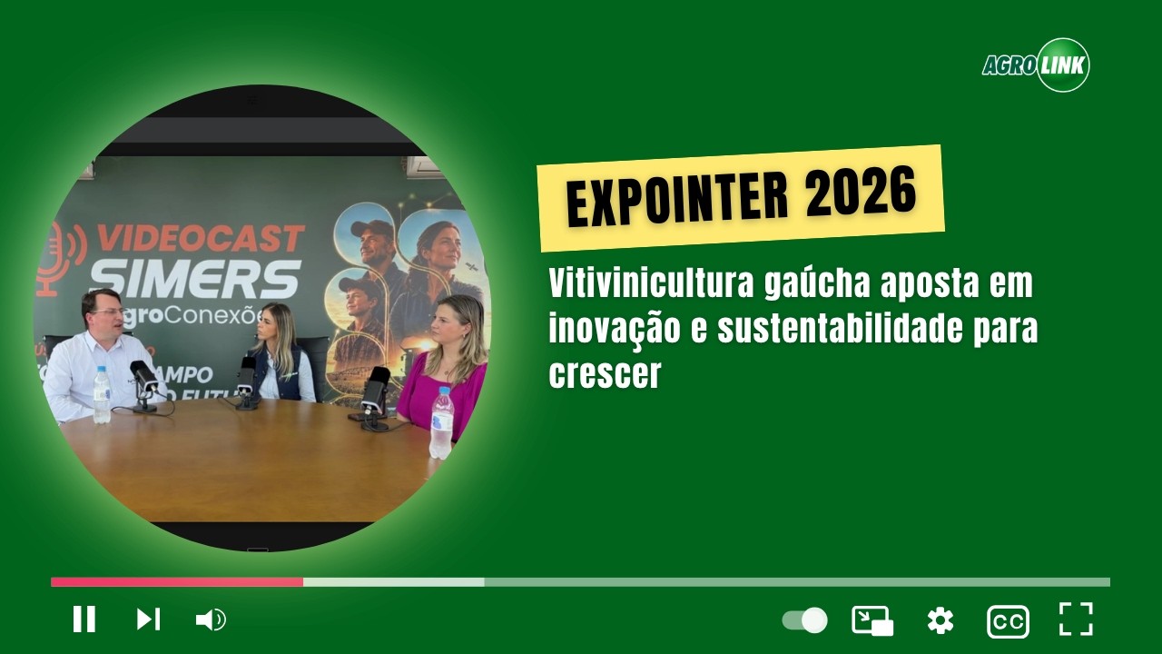Vitivinicultura gaúcha aposta em inovação e sustentabilidade para crescer