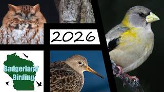 2026 First of the Year Birding Challenge