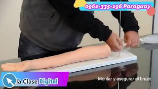 Video de Brazo p/prácticas de punción venosa XC-434