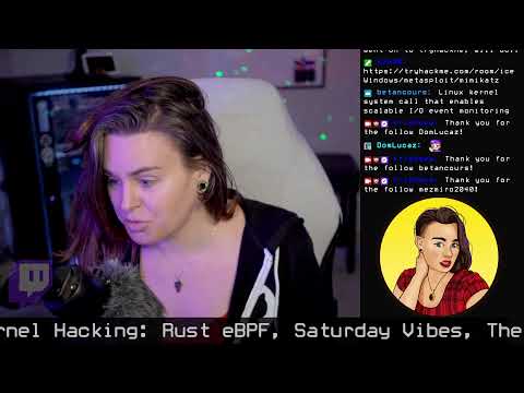 Kernel Hacking: Rust eBPF, Saturday Vibes, The Linux network stack