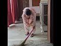 Sexcy Moti Gand Safai Kartay Huway Family Viloge Village Village