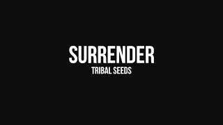 Tribal Seeds - Surrender (Audio)