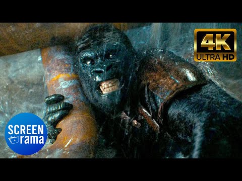 Noa kills Sylva Movie clip (The Gorilla) | Kingdom of the Planet of the Apes (2024)