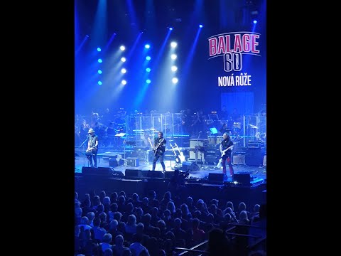 Nová Růže Live - Balage 60 -  Anděl Fantazie